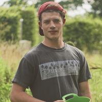 Dalton jack dalton jack
